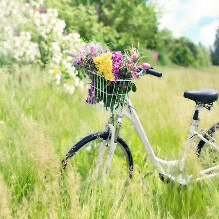 With Garden, Close To The Sarbinowo