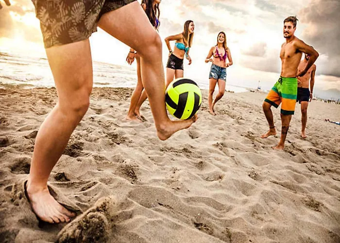 With Garden, Close To The *